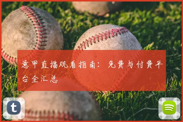 华体会体育