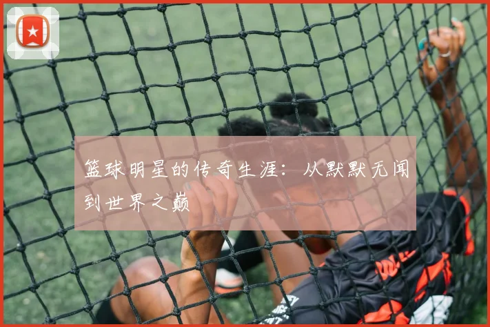 华体会体育